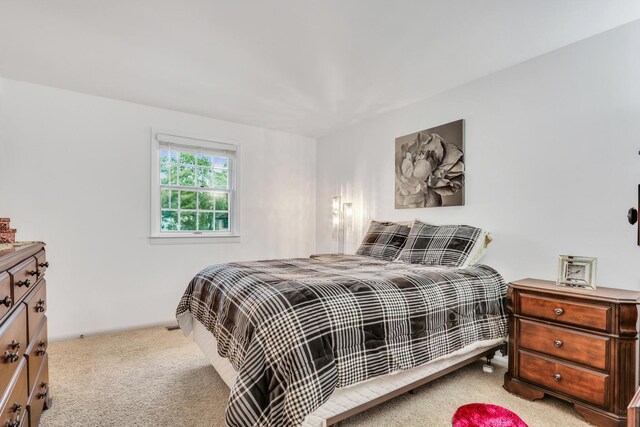 2310 Malik Ct, Glenview, IL 60025 - view of carpeted bedroom