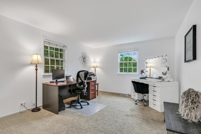2310 Malik Ct, Glenview, IL 60025 - view of carpeted home office