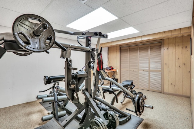 2310 Malik Ct, Glenview, IL 60025 - workout area featuring carpet floors, wood walls, and a paneled ceiling