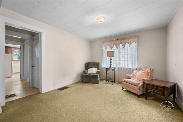 311 N Ave, Naperville, IL 60540 - living area with carpet floors, crown molding, and baseboards