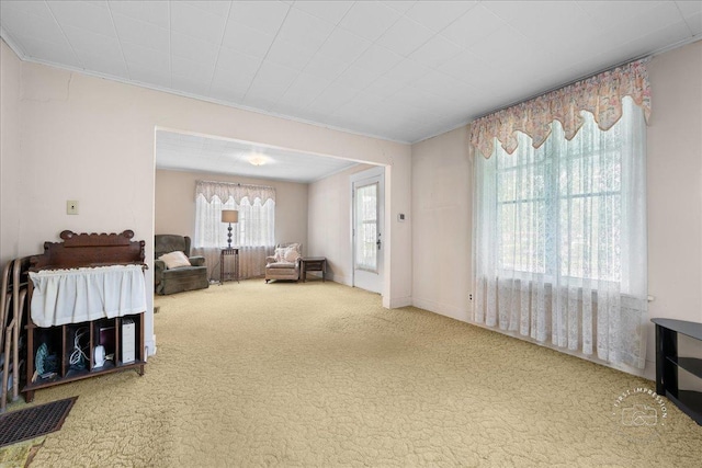 311 N Ave, Naperville, IL 60540 - living room with carpet floors and ornamental molding