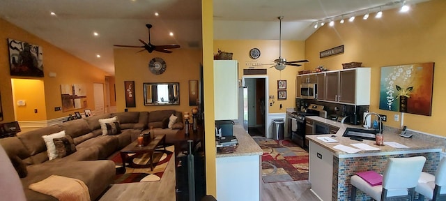 39806 Waterloo Dr, Beach Park, IL 60083 - living area featuring ceiling fan, high vaulted ceiling, light wood-style flooring, and track lighting