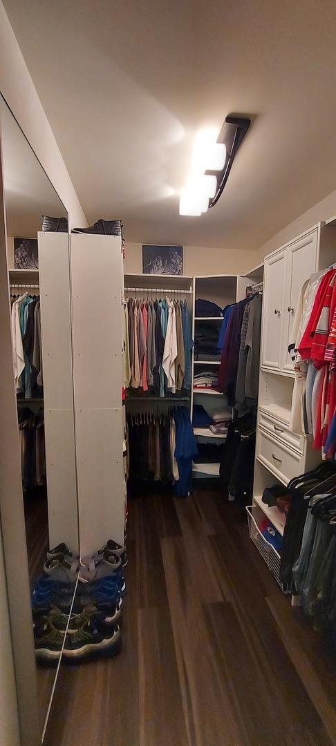 39806 Waterloo Dr, Beach Park, IL 60083 - spacious closet with dark wood finished floors