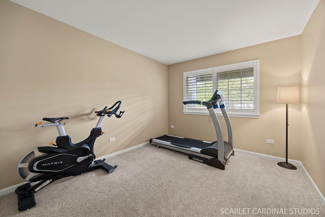2312 Scott Ln Unit 2312, Aurora, IL 60502 - exercise room with carpet floors