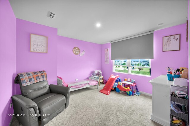 531 Larkspur Ln, Hampshire, IL 60140 - photo 14