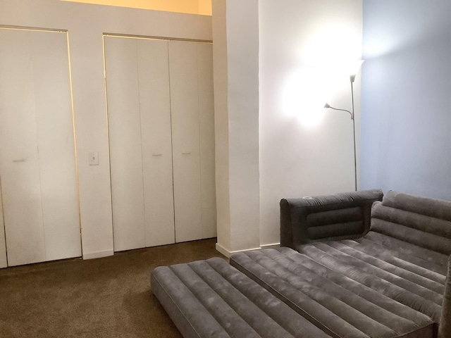 500 S Clinton St Unit 640, Chicago, IL 60607 - bedroom featuring carpet and a closet