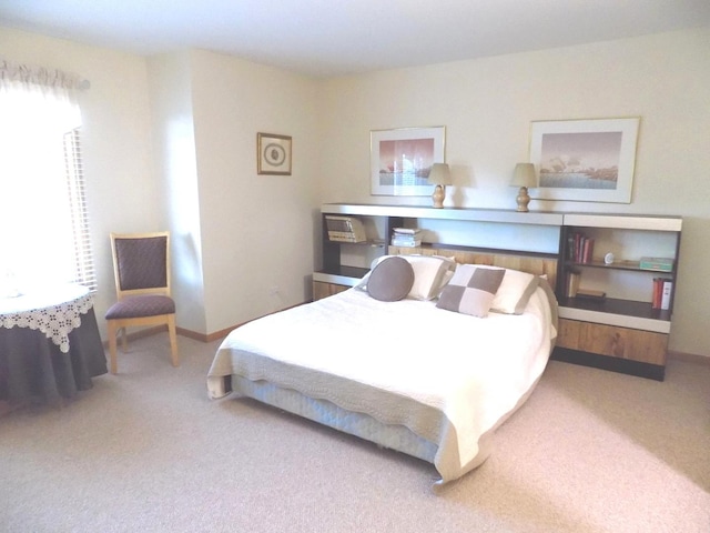 5355 Fox Path Ln, Hoffman Estates, IL 60192 - bedroom featuring carpet, multiple windows, and baseboards