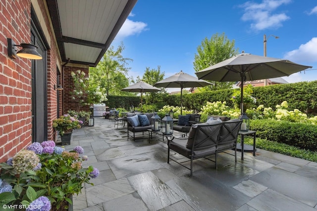 727 N Mckinley Rd Unit 100, Lake Forest, IL 60045 - view of patio / terrace featuring outdoor lounge area