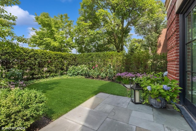 727 N Mckinley Rd Unit 100, Lake Forest, IL 60045 - view of yard with a patio