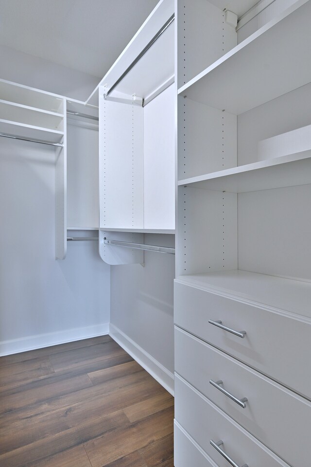210 N Addison Ave Unit 201, Elmhurst, IL 60126 - walk in closet with dark wood-style floors