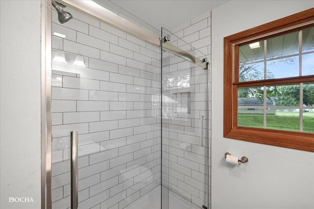 510 W Grant St, Sheridan, IL 60551 - bathroom with a shower stall