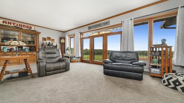 2765 W Pines Rd, Oregon, IL 61061 - living room with carpet floors, ornamental molding, and a baseboard heating unit