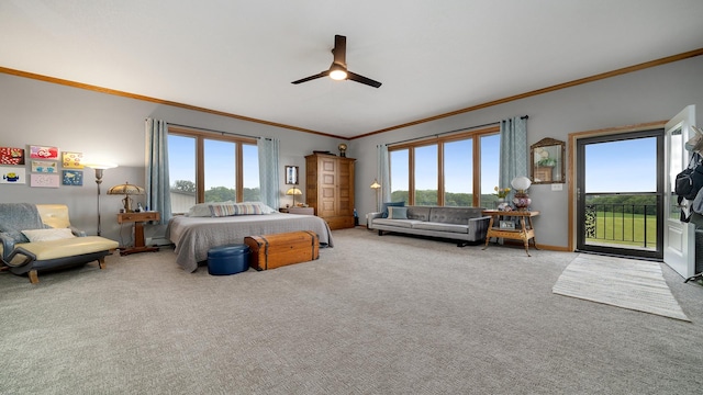 2765 W Pines Rd, Oregon, IL 61061 - bedroom featuring ornamental molding, carpet floors, multiple windows, and access to outside