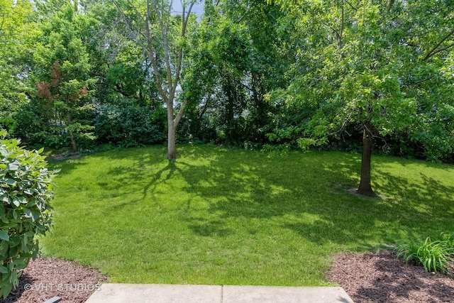 2476 Oneida Ln, Naperville, IL 60563 - photo 20