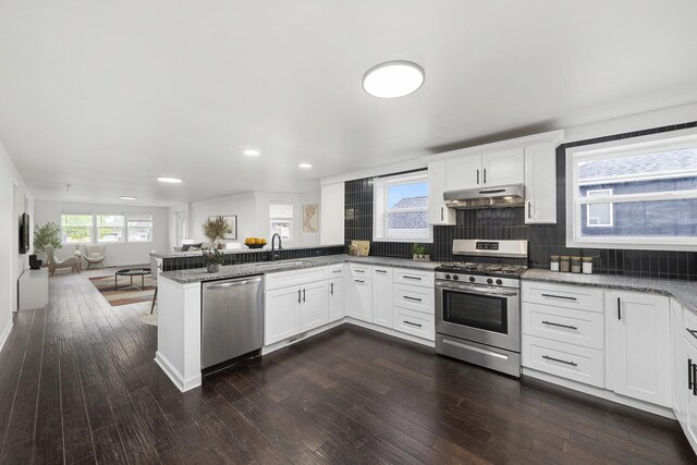 4322 Amelia Ave, Lyons, IL 60534 - kitchen with appliances with stainless steel finishes, a sink, under cabinet range hood, a peninsula, and dark wood-style flooring