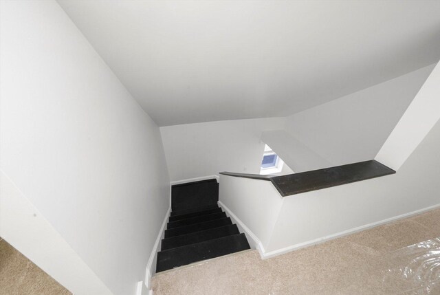 4322 Amelia Ave, Lyons, IL 60534 - stairs featuring carpet, vaulted ceiling, and baseboards