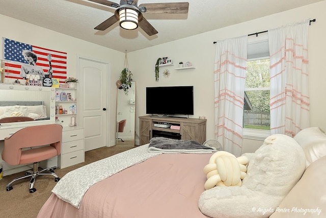155 Shadowbrook Dr, Capron, IL 61012 - bedroom with carpet and ceiling fan