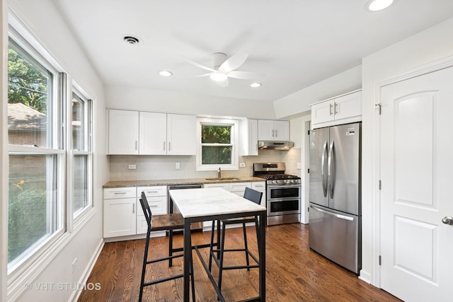 567 Byrd Rd, Riverside, IL 60546 - kitchen with stainless steel appliances, under cabinet range hood, backsplash, ceiling fan, and white cabinetry