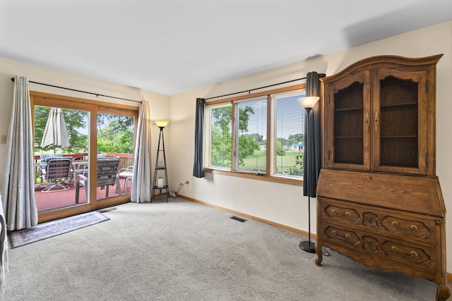 11234 Lakefield Dr, Orland Park, IL 60467 - unfurnished room with carpet flooring and baseboards