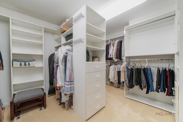 1602 Wickham Ct, Libertyville, IL 60048 - walk in closet with carpet