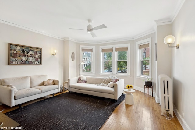 5842 N Wayne Ave Unit 1, Chicago, IL 60660 - living room with radiator, crown molding, baseboards, light wood-style flooring, and ceiling fan