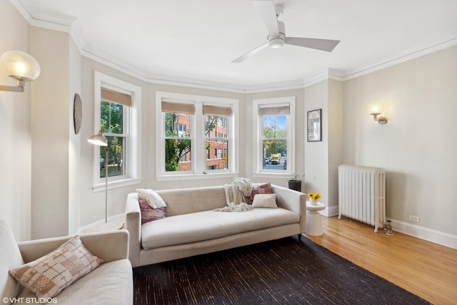 5842 N Wayne Ave Unit 1, Chicago, IL 60660 - living area featuring radiator, crown molding, wood finished floors, baseboards, and ceiling fan