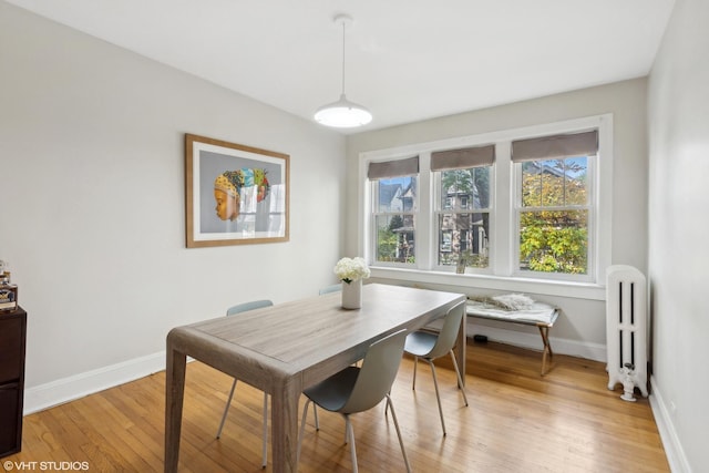 5842 N Wayne Ave Unit 1, Chicago, IL 60660 - dining room with radiator, light wood-type flooring, and baseboards