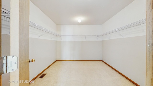 6542 Pine Hollow Rd, Carpentersville, IL 60110 - spacious closet featuring carpet floors