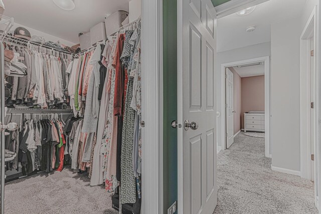 2367 Camden Bay, Elgin, IL 60123 - walk in closet with carpet floors