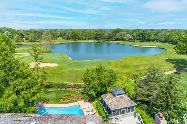 1242 Antietam Dr, Long Grove, IL 60047 - bird's eye view of a tree filled landscape and a large body of water