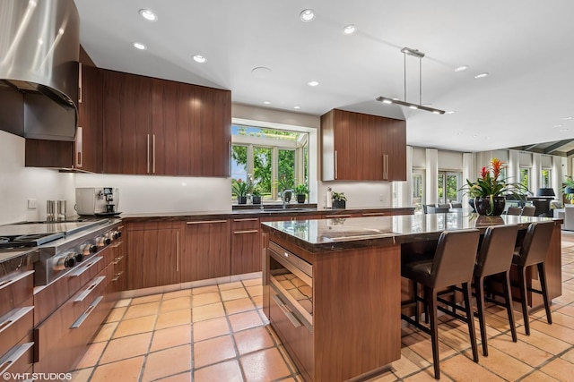 1242 Antietam Dr, Long Grove, IL 60047 - kitchen with stainless steel appliances, range hood, a center island, modern cabinets, and a kitchen bar