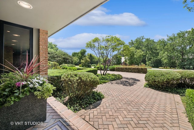 1242 Antietam Dr, Long Grove, IL 60047 - view of community with view of scattered trees