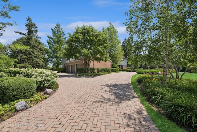 1242 Antietam Dr, Long Grove, IL 60047 - view of property's community featuring decorative driveway and a garage