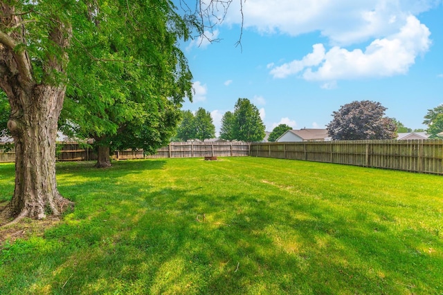 102 Merganser Ct, Downs, IL 61736 - view of yard