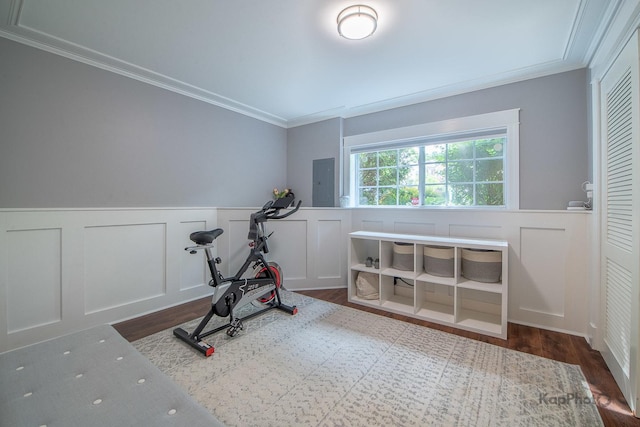 155 Willow Blvd, Willow Springs, IL 60480 - workout room featuring ornamental molding, a decorative wall, wainscoting, dark wood-style flooring, and electric panel