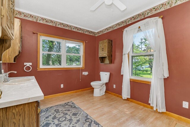 302 Wabash Ave, Campus, IL 60920 - bathroom featuring wood finished floors, vanity, toilet, baseboards, and a ceiling fan