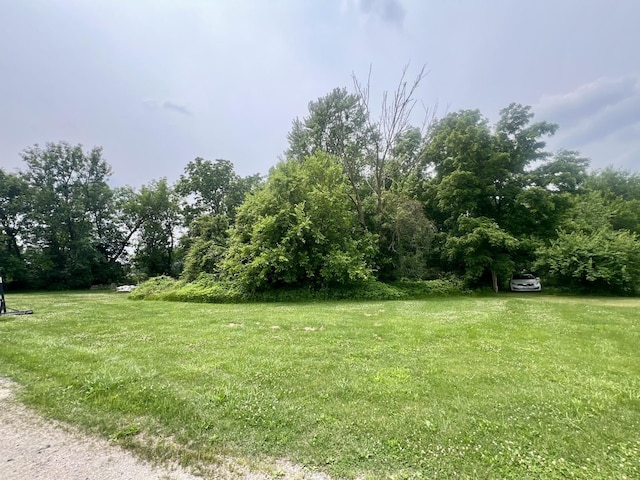 224 Dolak St, Westville, IL 61883 - photo 1