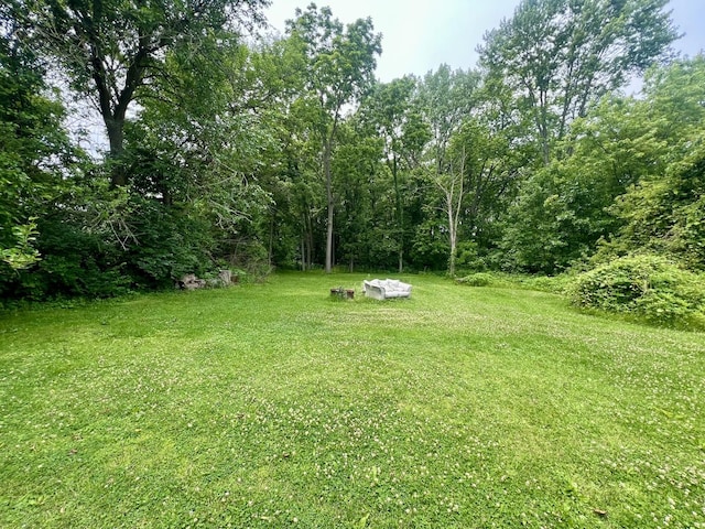 224 Dolak St, Westville, IL 61883 - photo 2