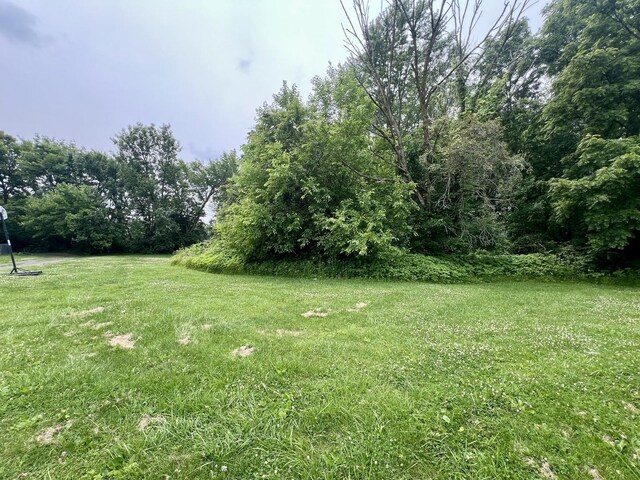 224 Dolak St, Westville, IL 61883 - photo 11