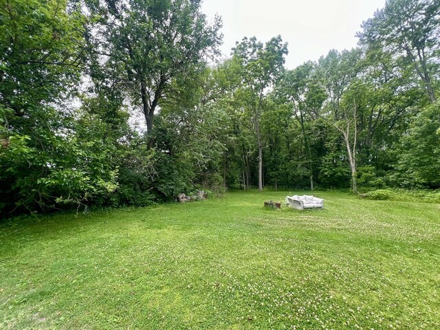 224 Dolak St, Westville, IL 61883 - photo 3