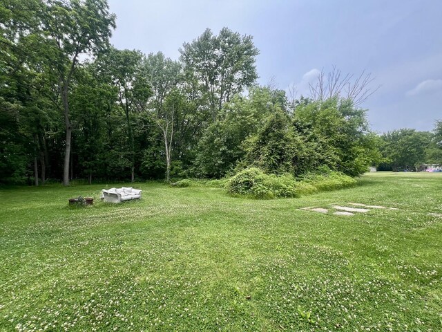 224 Dolak St, Westville, IL 61883 - photo 4