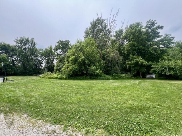 224 Dolak St, Westville, IL 61883 - photo 6