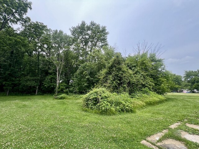 224 Dolak St, Westville, IL 61883 - photo 7