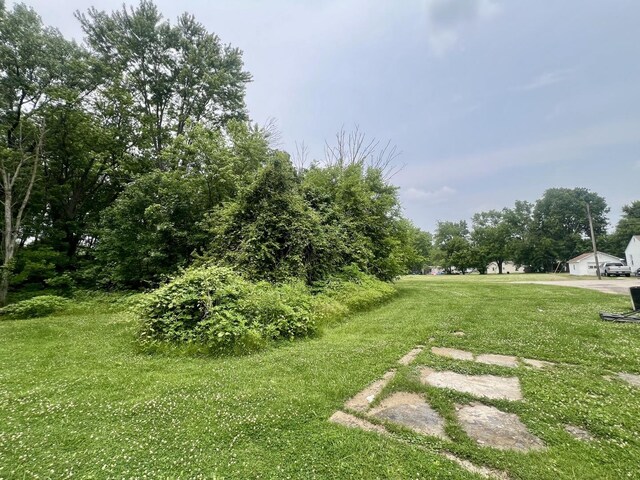 224 Dolak St, Westville, IL 61883 - photo 9