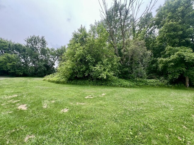 224 Dolak St, Westville, IL 61883 - photo 10