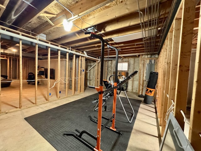 1102 Brian Dr, Manteno, IL 60950 - view of workout area