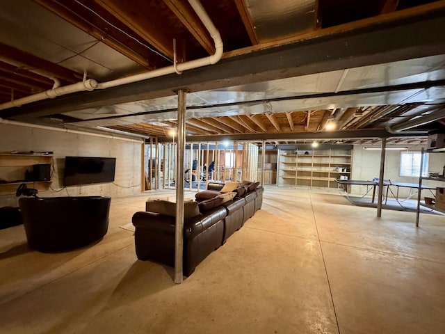 1102 Brian Dr, Manteno, IL 60950 - view of below grade area