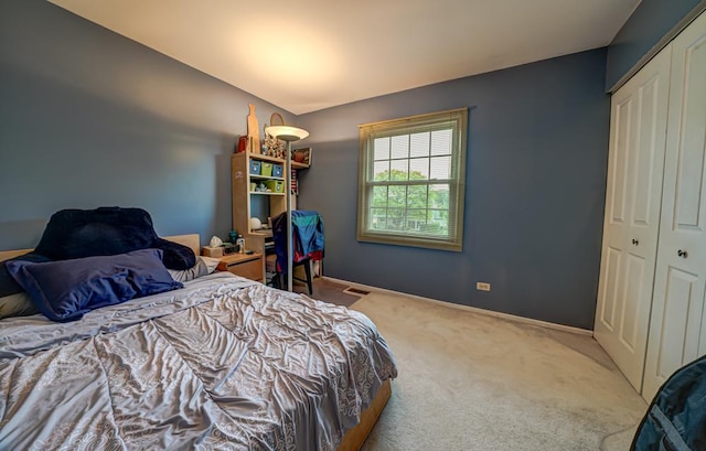 713 Warwick Ln, Lake Zurich, IL 60047 - carpeted bedroom with a closet and baseboards