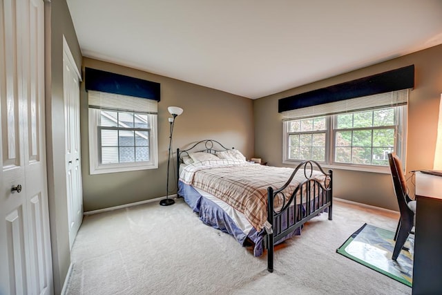 713 Warwick Ln, Lake Zurich, IL 60047 - bedroom featuring carpet floors and baseboards