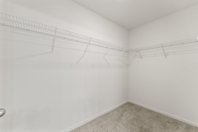 6712 Eich Dr, Joliet, IL 60431 - spacious closet with carpet